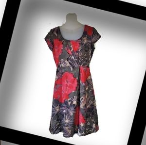 Banana Republic Dress Gray With Red Poppies Rayon Linen Blend Womens Size 4